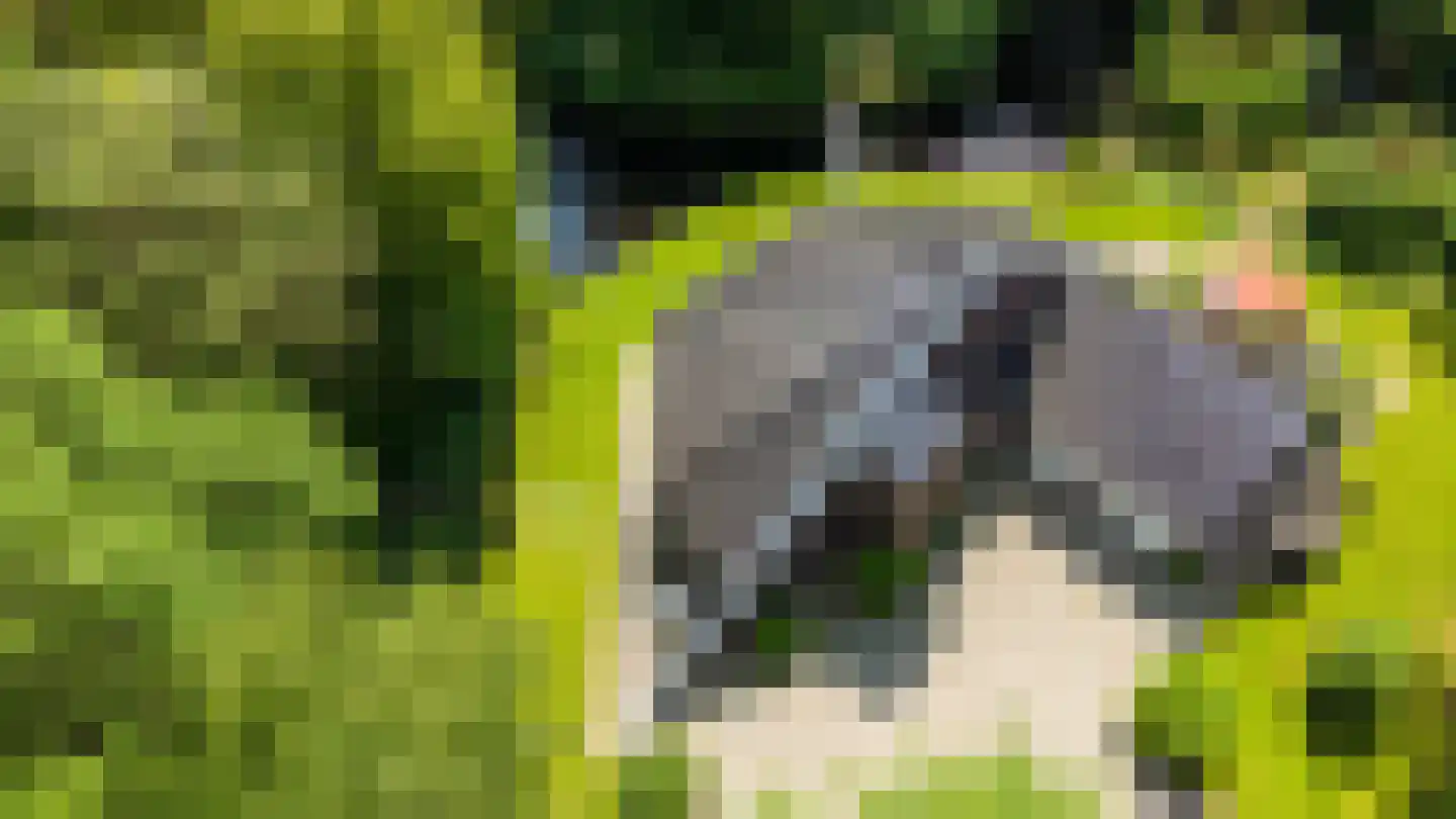 Hoofdweg 258 Nijeholtpade thumbnail 42