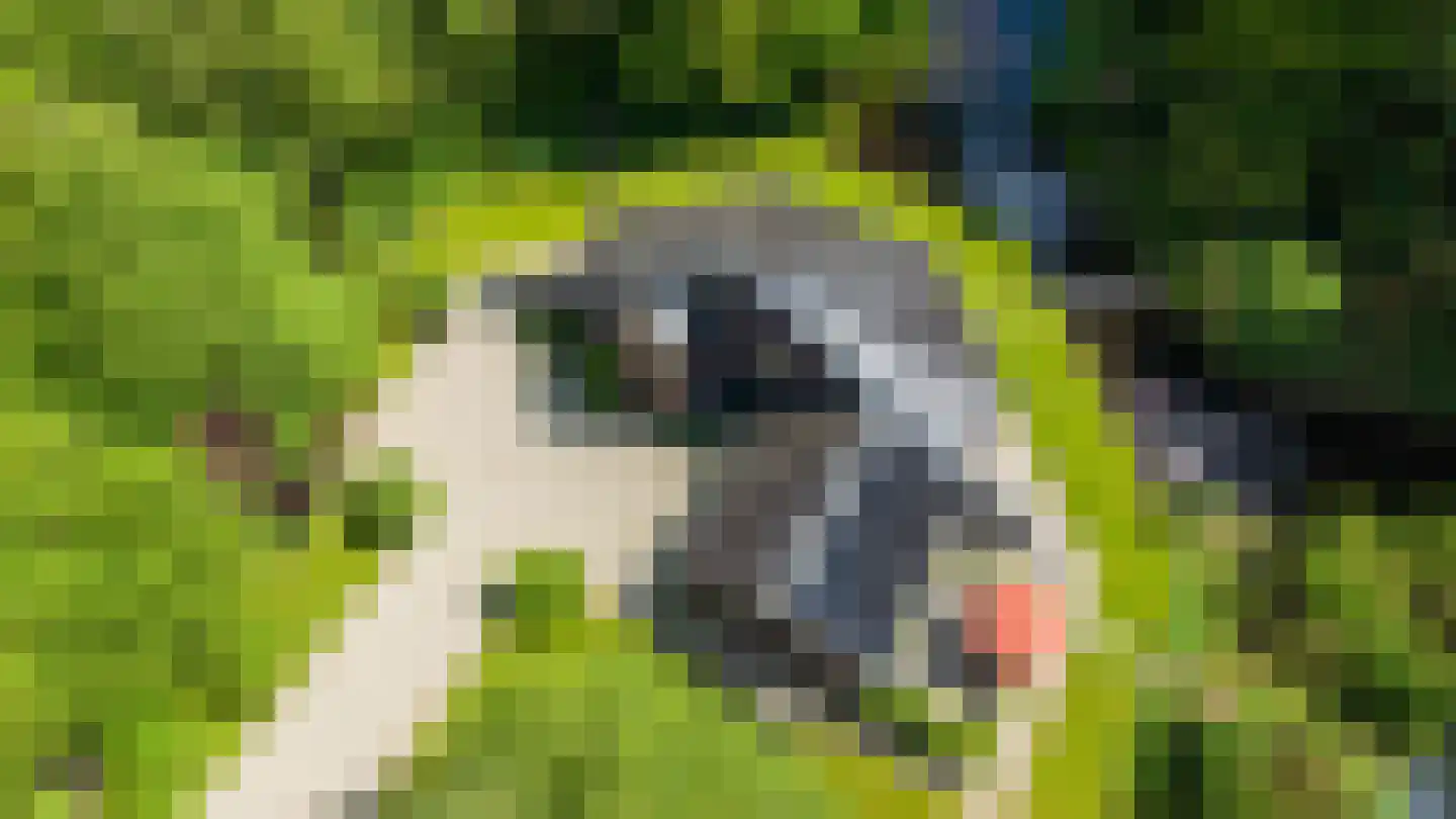 Hoofdweg 258 Nijeholtpade thumbnail 43
