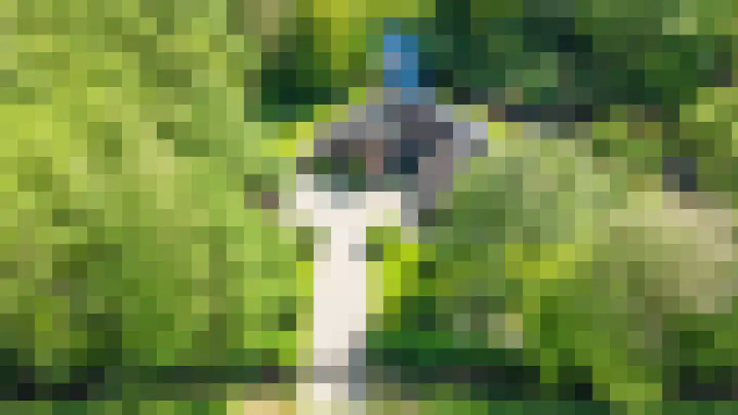 Hoofdweg 258 Nijeholtpade thumbnail 44