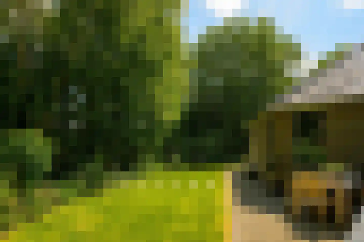 Hoofdweg 258 Nijeholtpade thumbnail 51