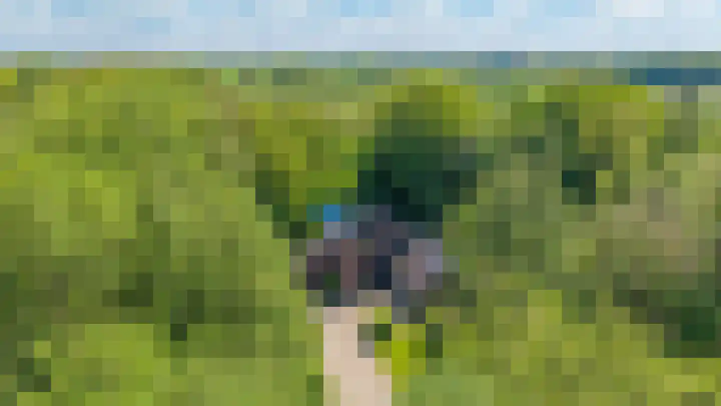 Hoofdweg 258 Nijeholtpade thumbnail 6