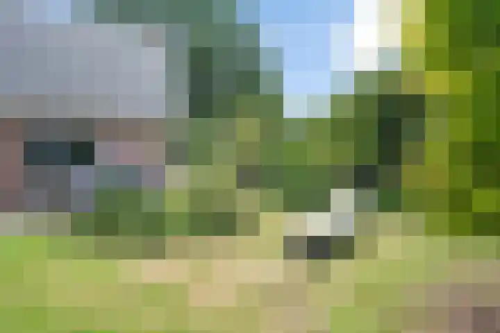 Hoofdweg 26 C Coevorden thumbnail 42
