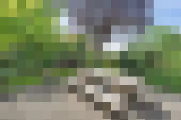 Hoofdweg 26 C Coevorden thumbnail 47
