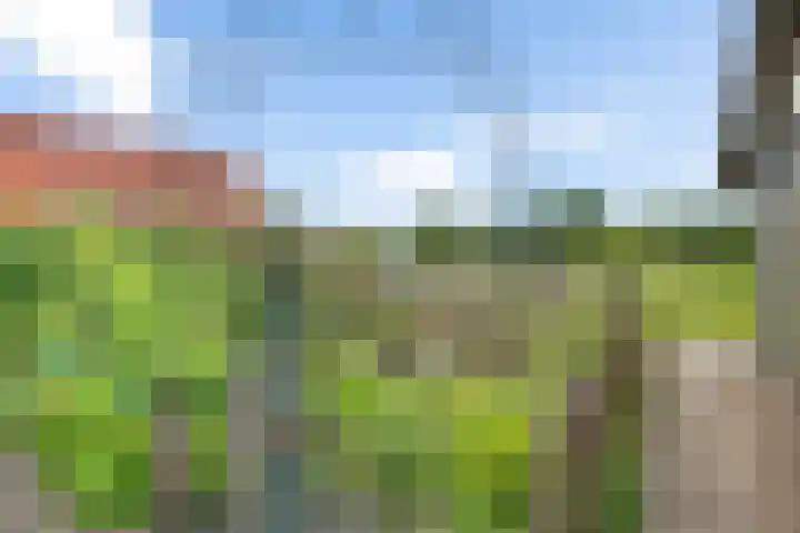 Hoofdweg 26 C Coevorden thumbnail 52