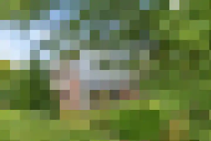 Hoofdweg 26 C Coevorden thumbnail 59