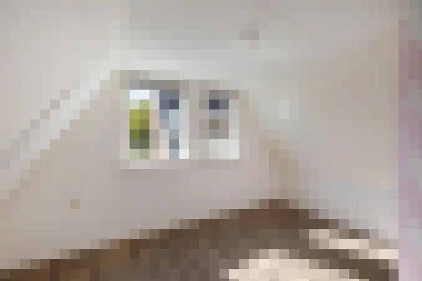 Hoofdweg 26 Holwierde thumbnail 36