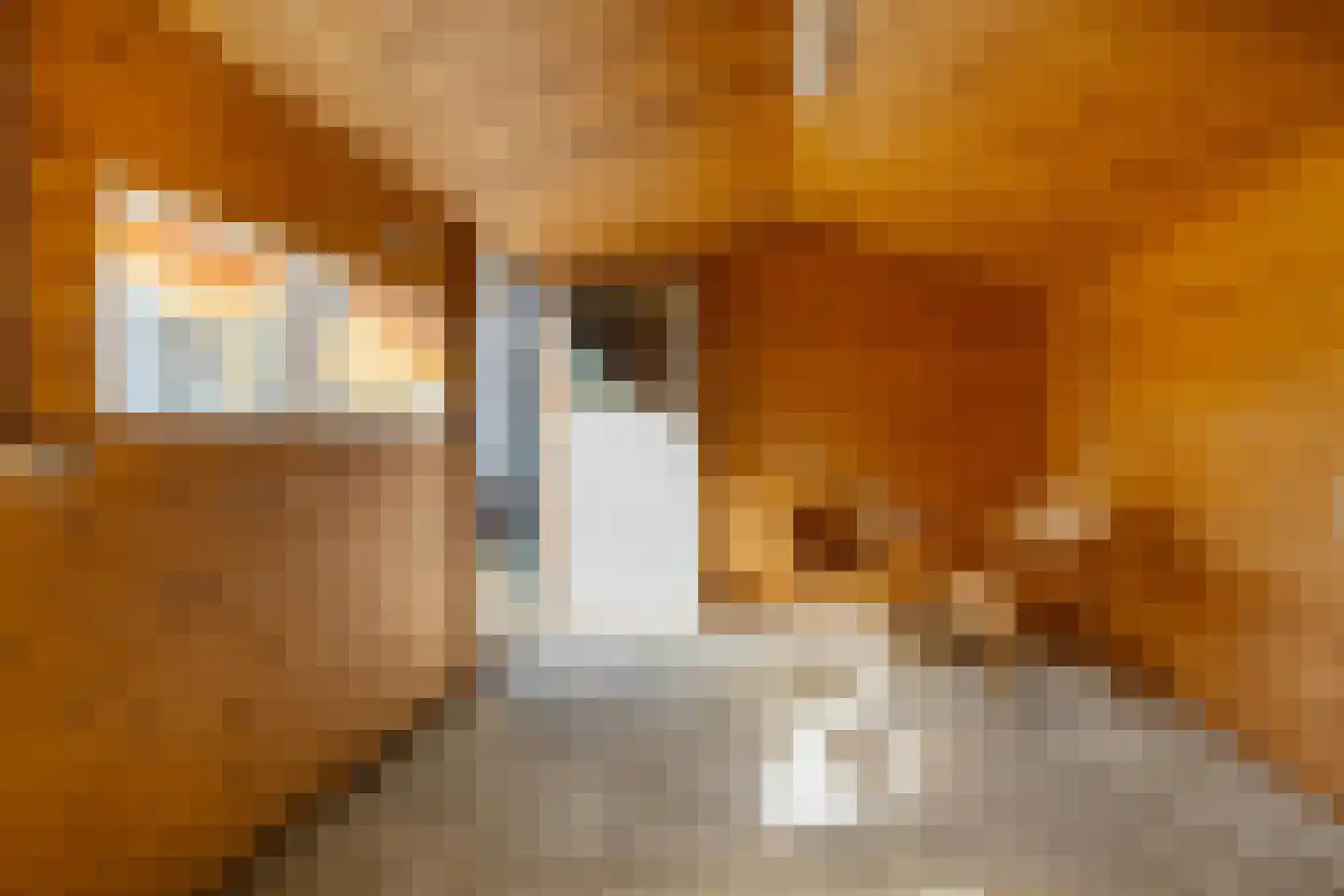 Hoofdweg 26 Holwierde thumbnail 52