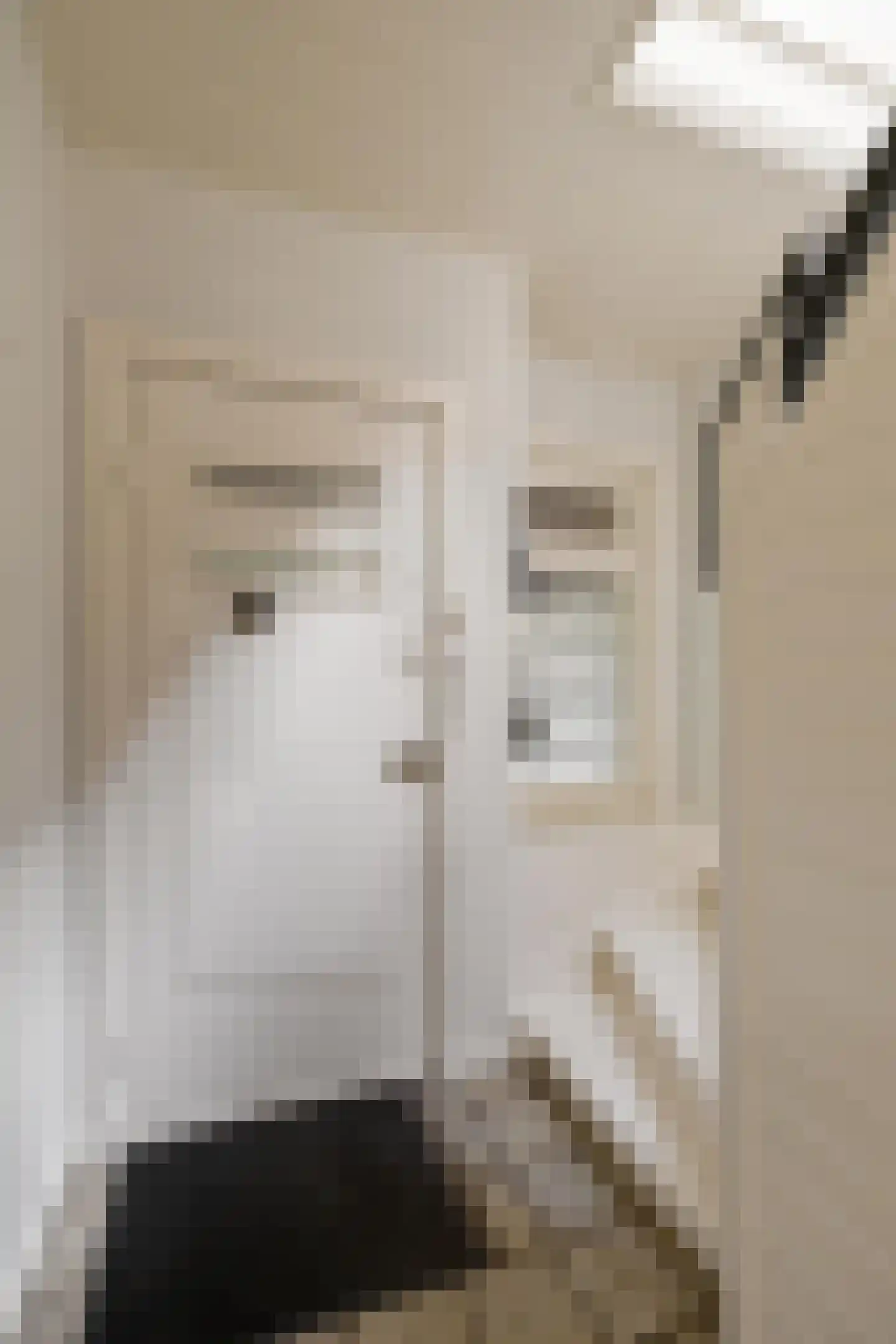Hoofdweg 26 Holwierde thumbnail 7