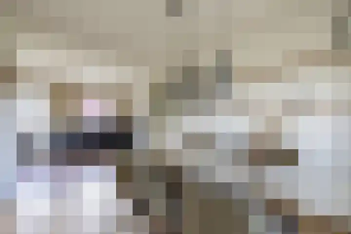 Hoofdweg 26 Kolham thumbnail 12