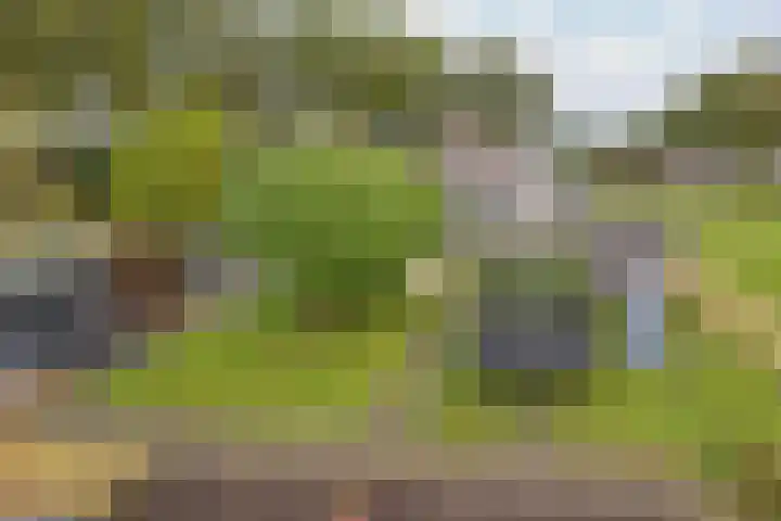 Hoofdweg 26 Kolham thumbnail 28