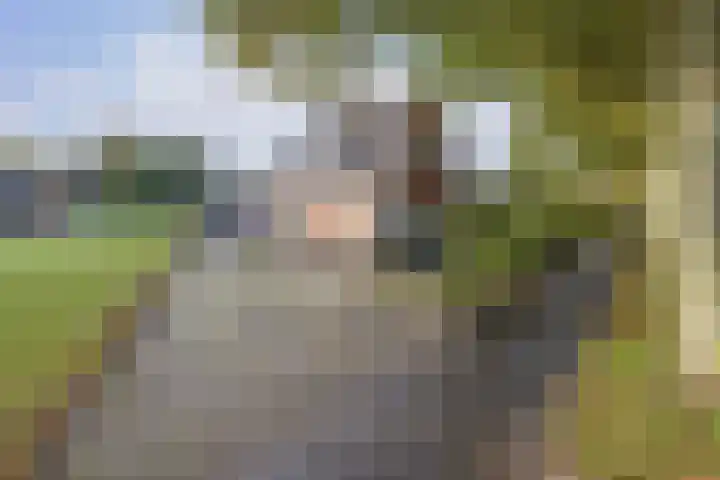 Hoofdweg 26 Kolham thumbnail 6