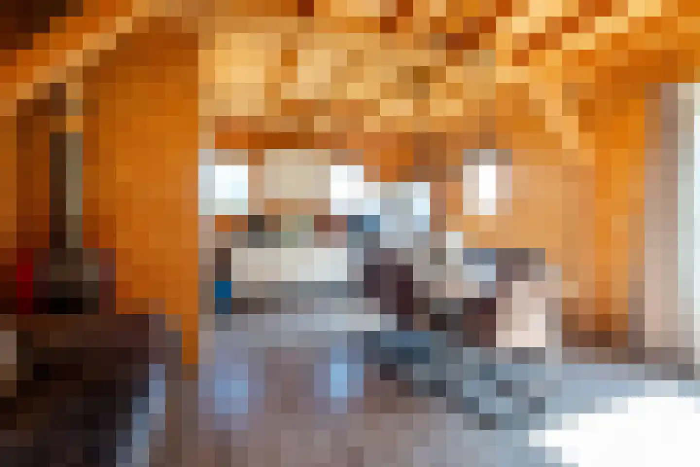 Hoofdweg 260 Midwolda thumbnail 52