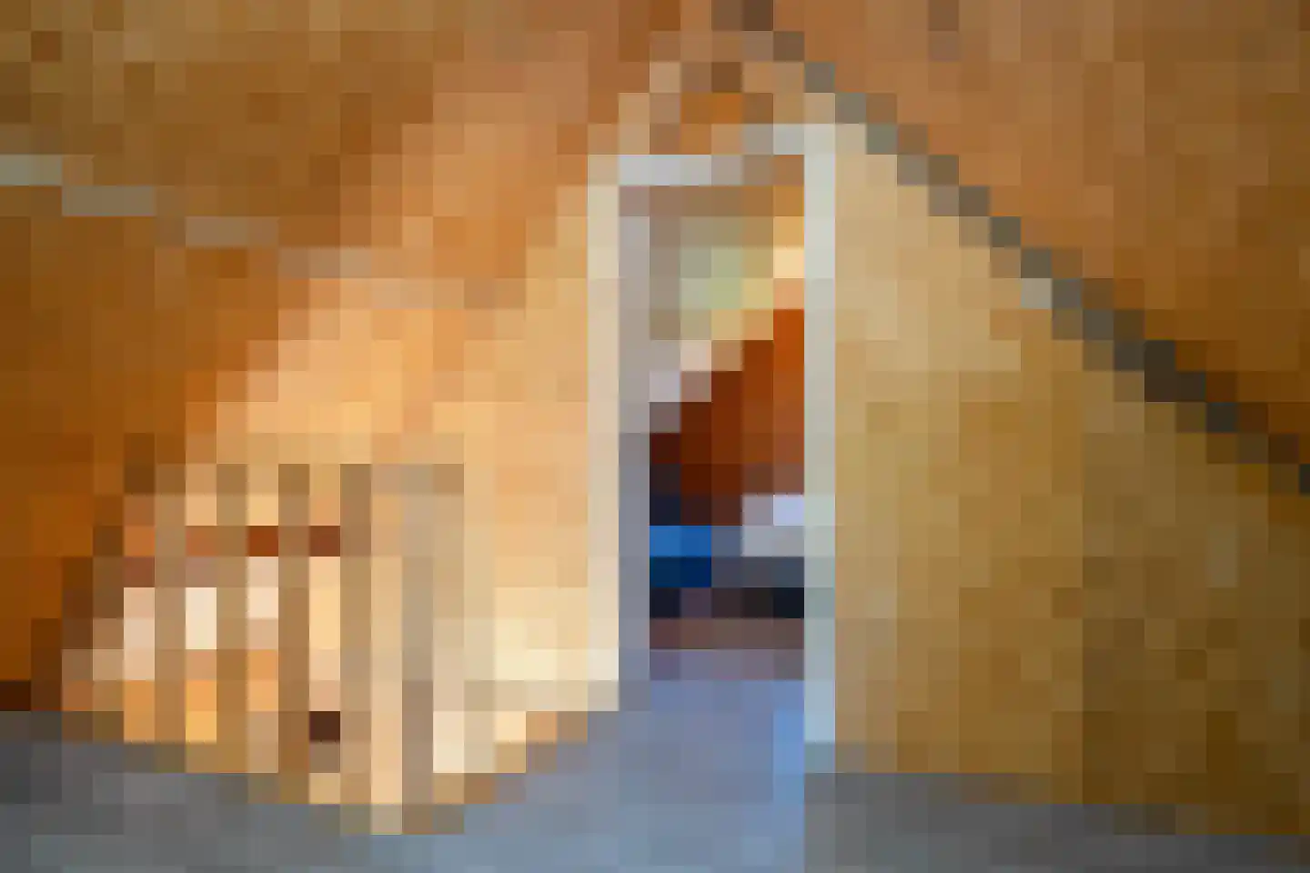 Hoofdweg 260 Midwolda thumbnail 56