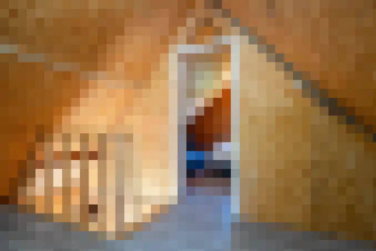 Hoofdweg 260 Midwolda thumbnail 56