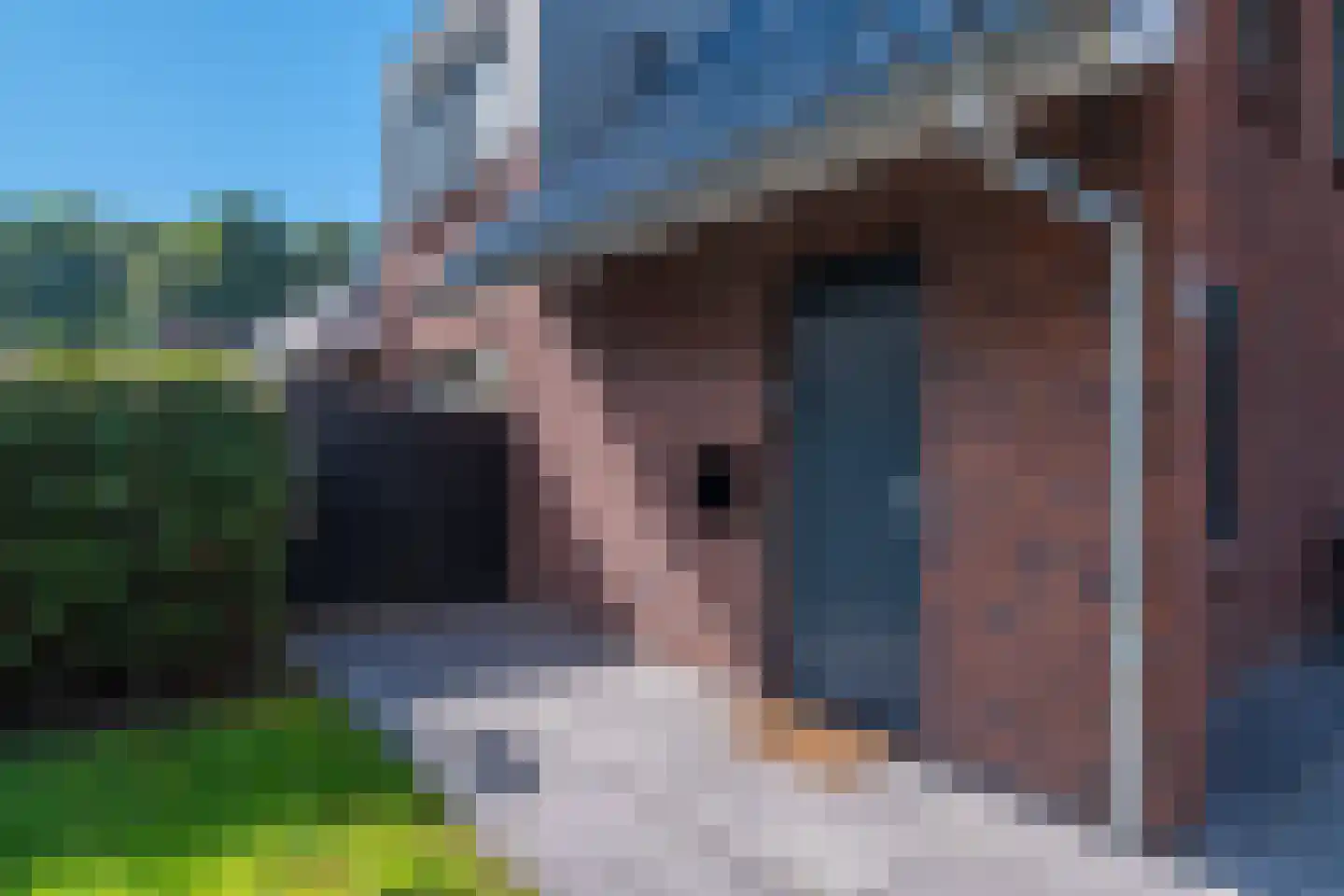 Hoofdweg 260 Midwolda thumbnail 8