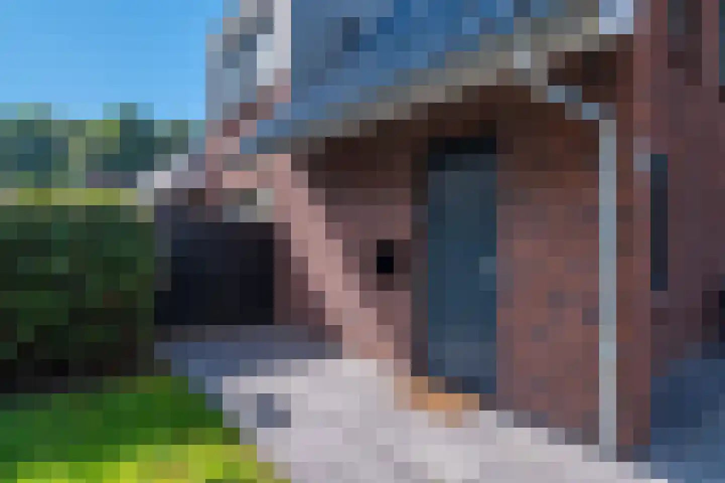 Hoofdweg 260 Midwolda thumbnail 8