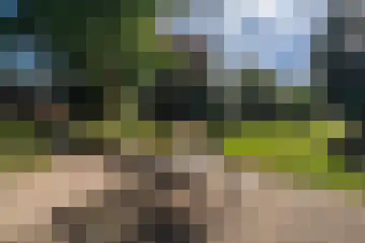 Hoofdweg 262 Blijham thumbnail 13
