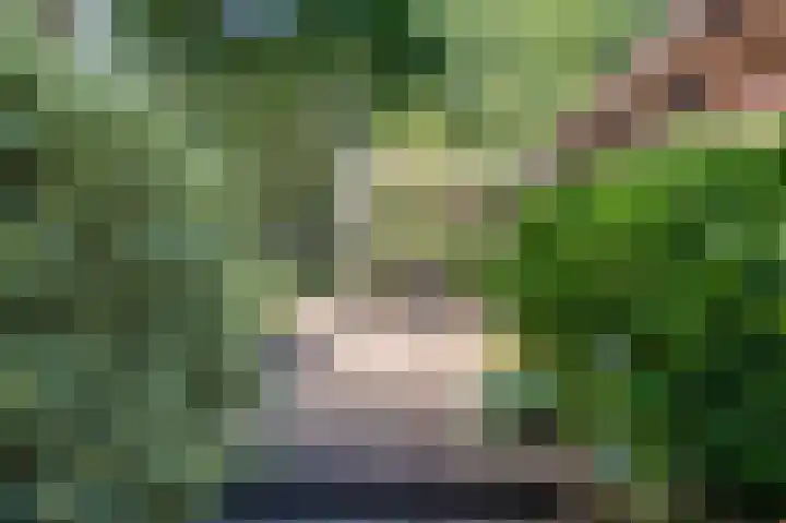 Hoofdweg 262 Blijham thumbnail 14