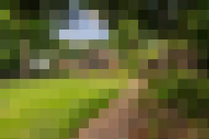 Hoofdweg 262 Blijham thumbnail 16