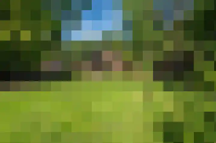 Hoofdweg 262 Blijham thumbnail 17