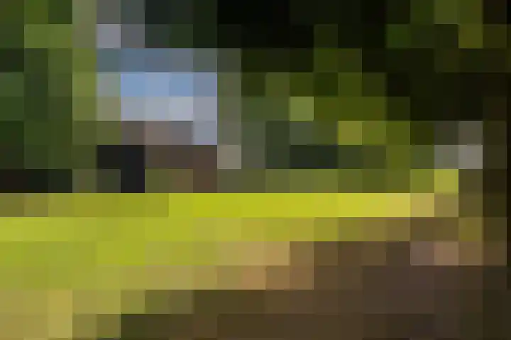 Hoofdweg 262 Blijham thumbnail 18