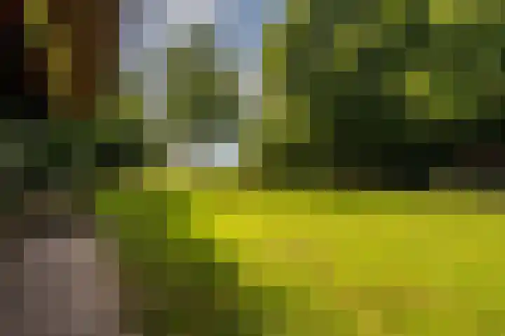 Hoofdweg 262 Blijham thumbnail 20