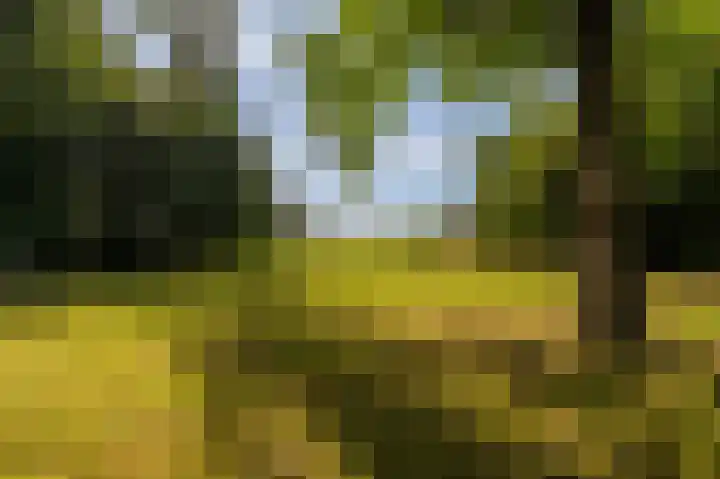 Hoofdweg 262 Blijham thumbnail 21