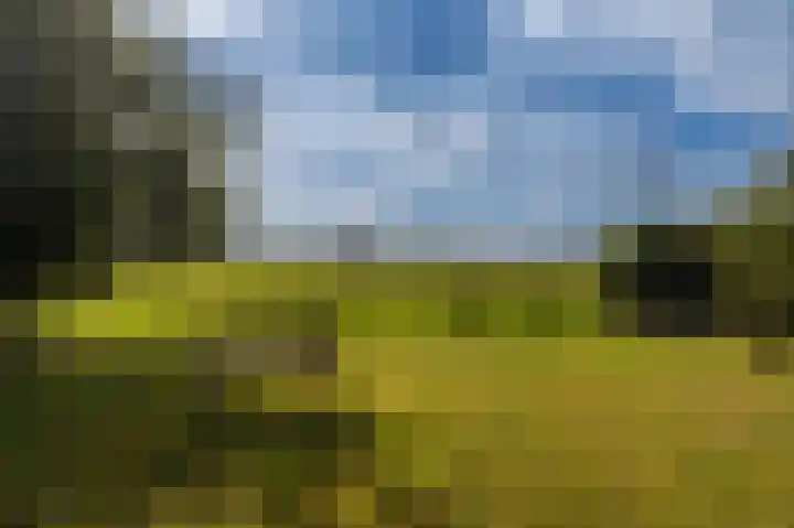 Hoofdweg 262 Blijham thumbnail 22