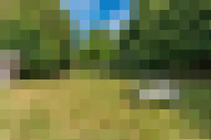 Hoofdweg 262 Blijham thumbnail 24