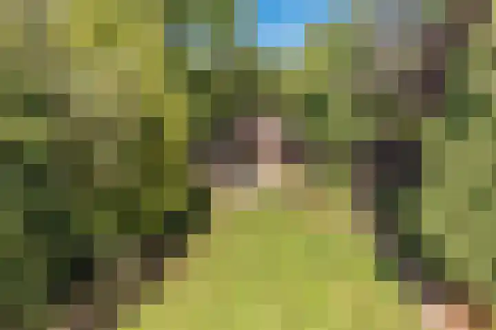 Hoofdweg 262 Blijham thumbnail 25