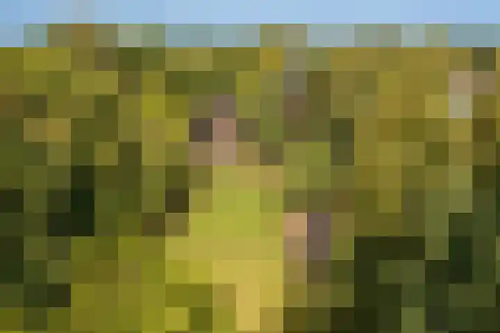Hoofdweg 262 Blijham thumbnail 26