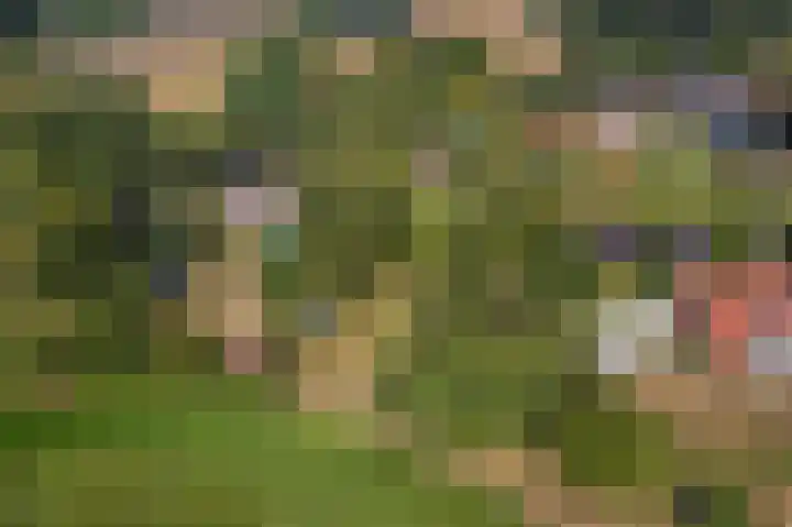 Hoofdweg 262 Blijham thumbnail 27