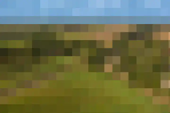 Hoofdweg 262 Blijham thumbnail 28