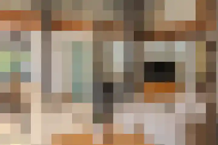 Hoofdweg 262 Blijham thumbnail 48
