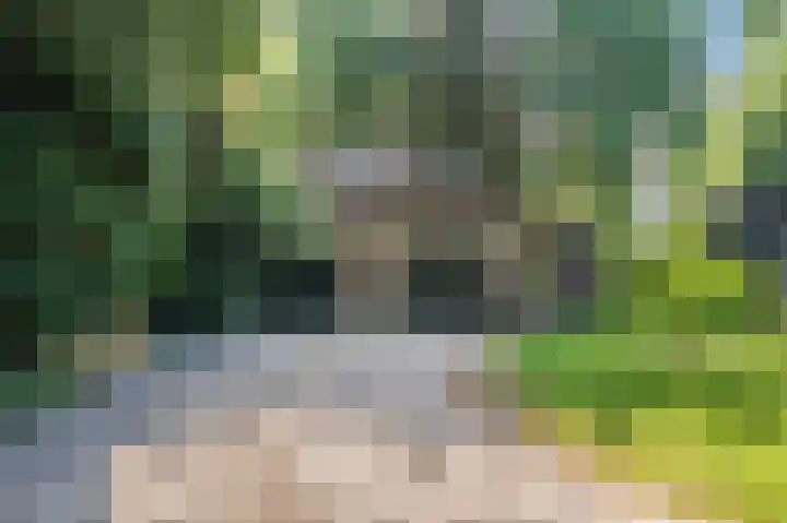 Hoofdweg 262 Blijham thumbnail 7