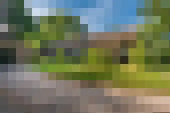 Hoofdweg 262 Blijham thumbnail 8