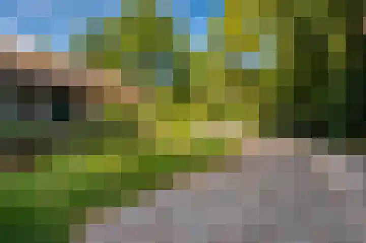 Hoofdweg 262 Blijham thumbnail 9