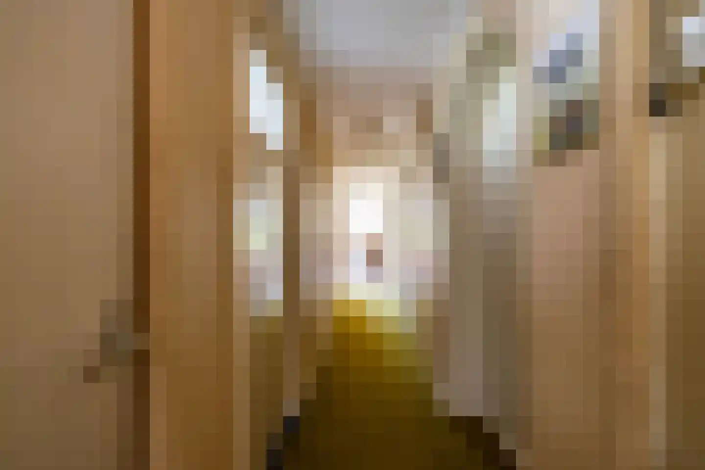 Hoofdweg 27 Godlinze thumbnail 23
