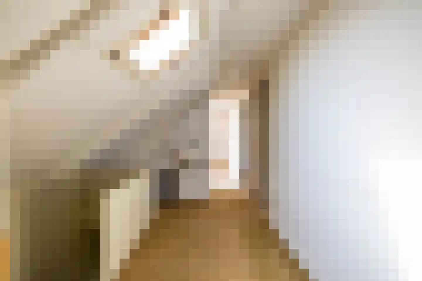Hoofdweg 27 Godlinze thumbnail 29