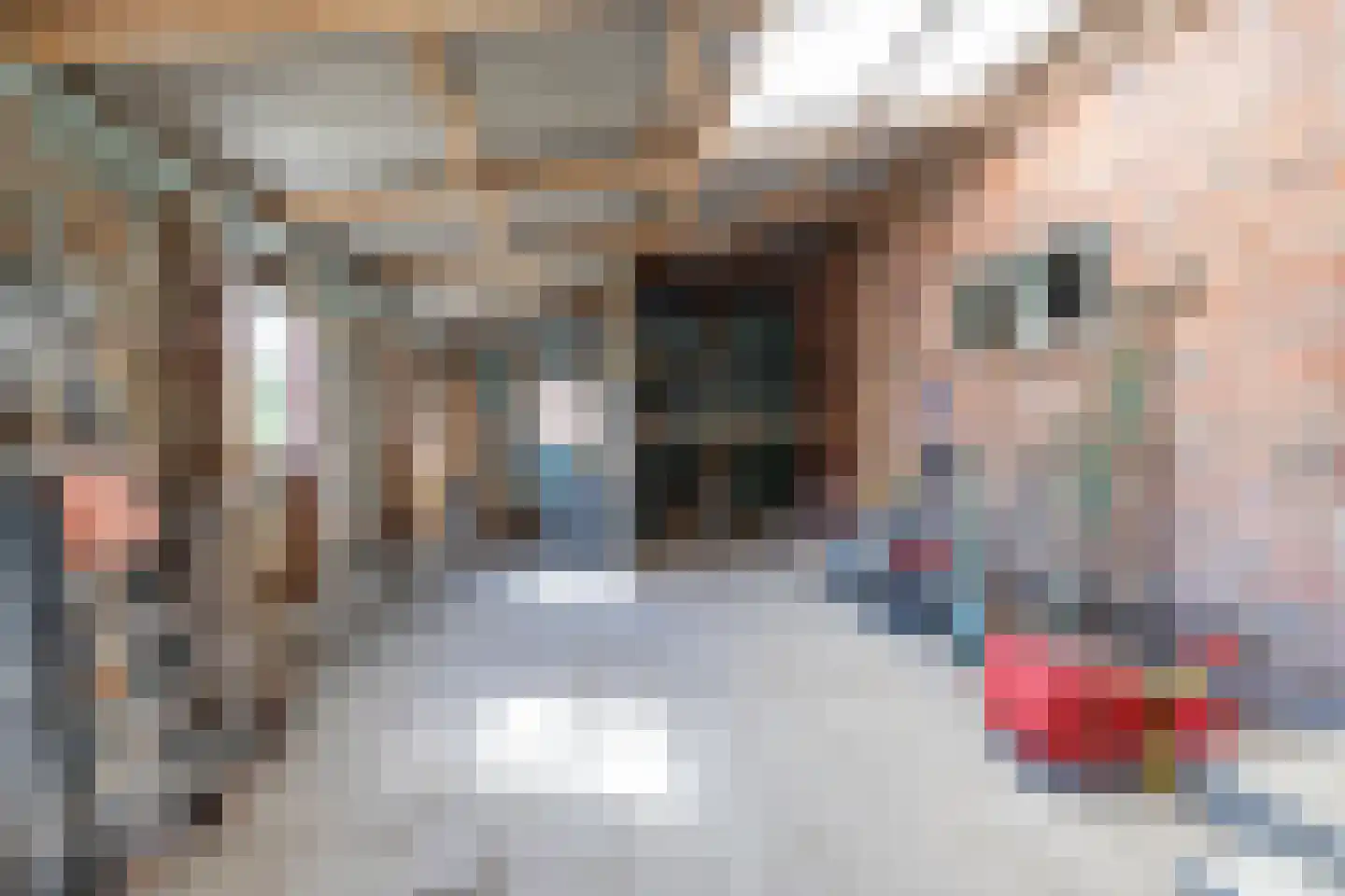 Hoofdweg 27 Godlinze thumbnail 40