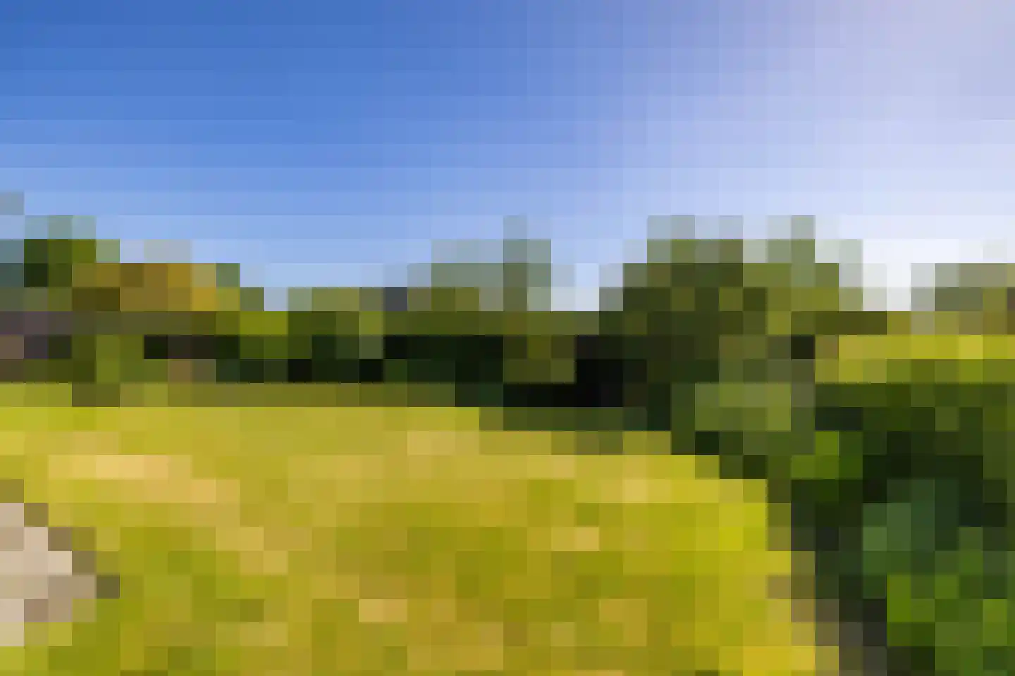 Hoofdweg 27 Godlinze thumbnail 44