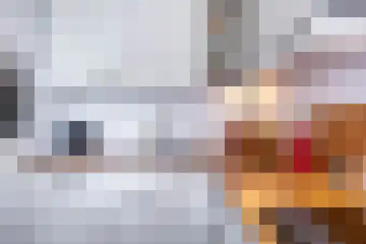 Hoofdweg 27 Harkstede thumbnail 12