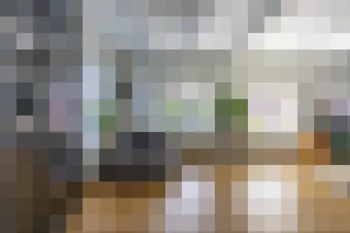 Hoofdweg 27 Harkstede thumbnail 15