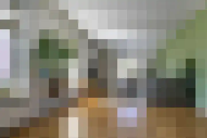 Hoofdweg 27 Harkstede thumbnail 16