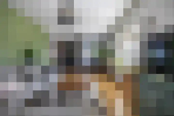 Hoofdweg 27 Harkstede thumbnail 17