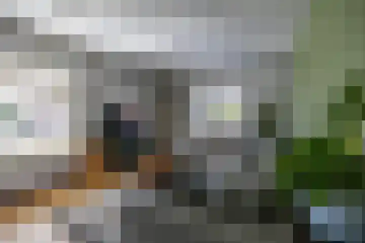 Hoofdweg 27 Harkstede thumbnail 18