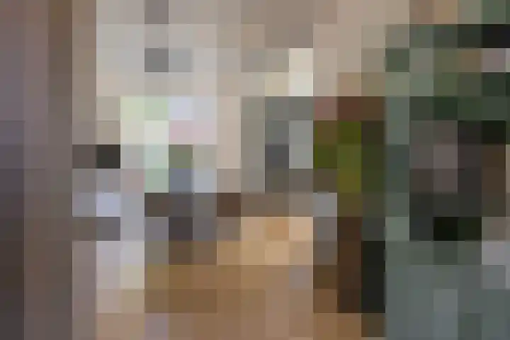 Hoofdweg 27 Harkstede thumbnail 24