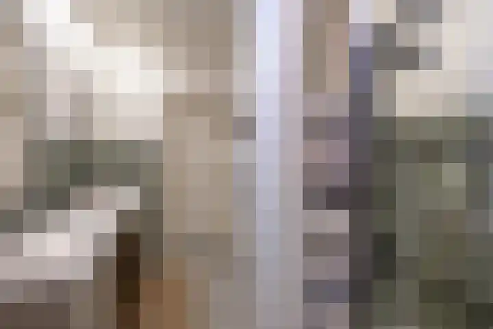 Hoofdweg 27 Harkstede thumbnail 30