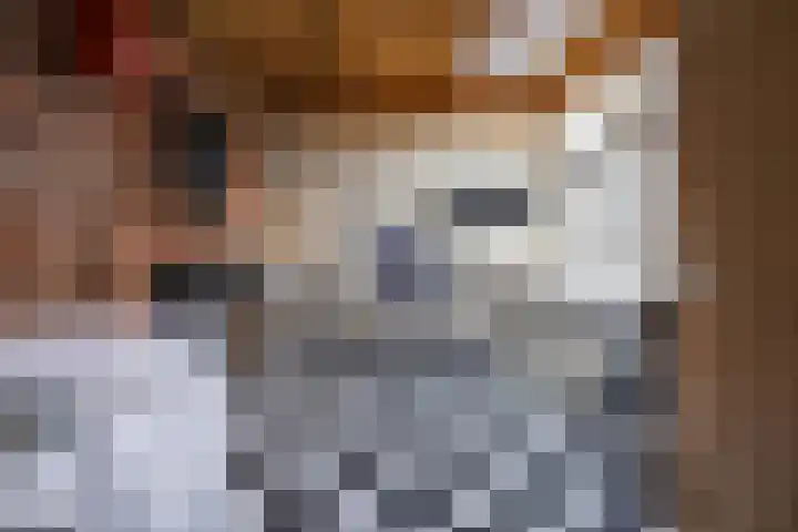 Hoofdweg 27 Harkstede thumbnail 49