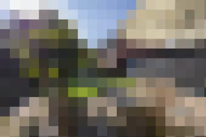 Hoofdweg 27 Harkstede thumbnail 5
